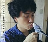 �J�Z�b�g&�K�[�b�g