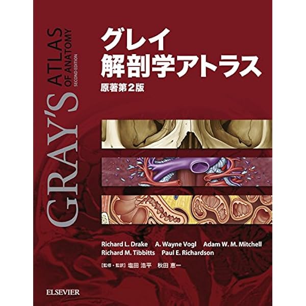 グレイ解剖学 原著第3版: 電子書籍（日本語版・英語版）付き | Drake