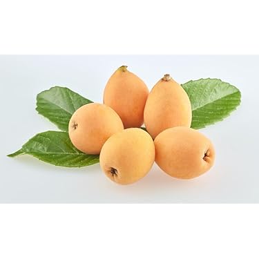 Amazon.co.jp 売れ筋ランキング: びわ の中で最も人気のある商品です