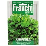 野菜の種 イタリアンパセリー GIGANTE DI NAPOL 108/2