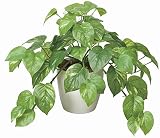 造花 観葉植物 光触媒 ポット・グリーン フレッシュ・ポトス