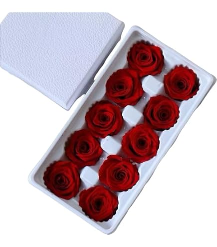 Amazon｜Elegantflower プリザーブドフラワー ハーバリウム 花材・材料