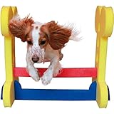 イギリス【ROSEWOOD】 ドッグアジリティ イギリスROSEWOOD スモールドッグハードル ドッグラン