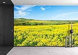 wall26 - 粘着式壁紙 大きな壁画シリーズ 100"x144" WMR-WP-X-C673-100x24x6