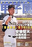 週刊ベースボール増刊 第96回全国高校野球選手権予選展望号 2014年 6/29号 [雑誌]