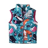 (パタゴニア)patagonia Baby Synch Vest 61005 Festival Fox: Epic Blue (FFEB) 6M