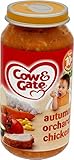 Cow & Gate Autumn Orchard Chicken 10mth+ (250g) 牛とゲート秋の果樹園チキン10Mth + （ 250グラム）