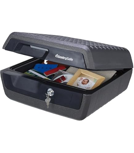 Amazon.co.jp: SentrySafe ポータブルセキュリティ金庫 ブラック : DIY