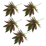 monkeyjack 5 Pieces Lifelike人工多肉植物植物Agave花植物ホームDecor