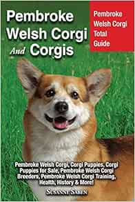 pembroke welsh corgis for sale