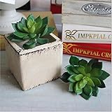 LuxBene(TM) シミュレーション多肉植物ロータスLithops造花の飾りミニグリーン人工多肉植物植物ガーデンデコレーションD56