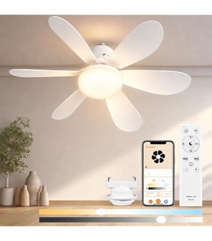 Amazon.co.jp : 【2026発売モデル】シーリングファンライト LED ファン