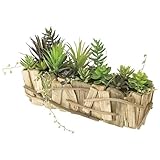 スパイス DECOR IMITATION CACTUS LONG WOOD XHDY4030