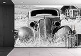 wall26 自己粘着性ウォールペーパー 大きな壁 壁画シリーズ 100"x144" WMR-WP-X-C223-100x24x6