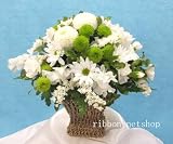 【お盆・お供え花】【お悔やみのお花】】お供え用のフラワーアレンジメント（生花）グリーン・ホワイト FL-OS-901