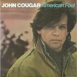 �A�����J���E�t�[��+1