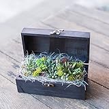 多肉植物 寄せ植え （ 造花 ) taniku イミテーション BOX フラワー ( レクタングル )