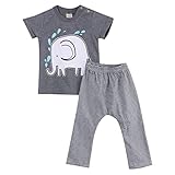 CANIS　男の子　ルームウェア　ゾウパターン　半袖　Tシャツ＆ズボン　上下セット　灰色　グレー　ストライプ　縞模様　夏　０－２４ヶ月設定 (100)
