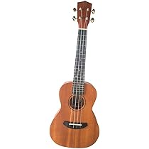 Amazon.co.jp: DCT DC-10S コンサートウクレレ : 楽器・音響機器