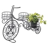 Paseo Iron Bicycle AT-79D