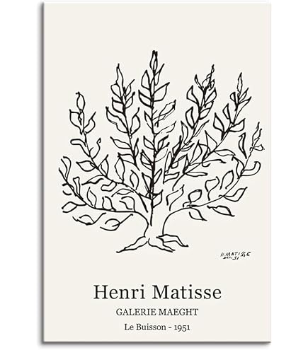 Amazon.co.jp: アンリ・マティス ポスター《千夜一夜物語》キャンバス