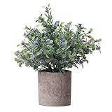 HooMall インテリアグリーン ミニポット 人工 フェイク グリーン 緑 植物 鉢植え 葉 雑貨 人工観葉植物 ミニチュア盆栽 風景装飾品 卓上観葉植物 かわいい ミニ 卓上ポット