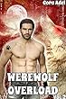 Werewolf Overload - Volume 2: A Werewolf Erotica Collection (English Edition)