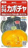 サカタのタネ 実咲野菜1030 おてがるカボチャ みやこ 00921030