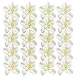 Sharplace 蘭花　ユリ　造花　人工シルク　結婚式飾り　インテリア　20個　全6色 - Off-white