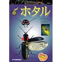 ホタルページ ホタル (いのちのかんさつ) | 中山 れいこ, アトリエ モレリ |本