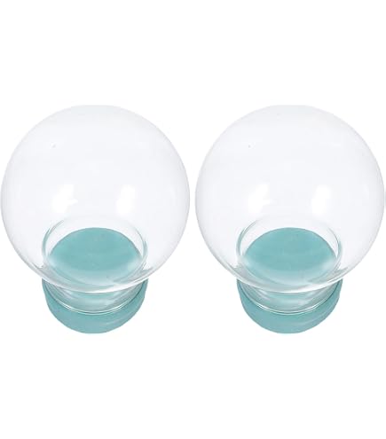 Amazon.co.jp: ウェッジウッド スノードーム : おもちゃ