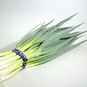 Amazon 京都産 京野菜 九条ネギ 12本前後入り 京野菜 ねぎ 通販