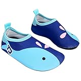 Sasairy シューズ ソックス キッズ 子供用 ビーチシューズ ウォーターシューズ スノーケリングシューズ シュノーケリングシューズ　 ビーチシューズ 水辺の危険からお子様の足を守ります！