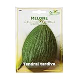 野菜の種 メロン・タルディーボ