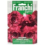 野菜の種 リーフチコリー GRUMOLO ROSSA 40/72