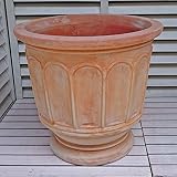 ベトナム鉢 フィリー テラコッタ色 (47cm) テラコッタ 植木鉢 プランター アンティーク調 陶器鉢 おしゃれ 園芸 ガーデニング ヨーロピアンガーデン