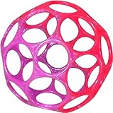 O'ball オーボール ジェリー ピンク/パープル (81161) by Kids II by Kids II Japan [並行輸入品]