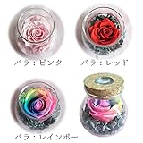 【AFP】プリザーブドフラワー アレンジ　ガラス　フラワーinボトル　レインボーローズ　カーネーション　全5色　knj-40 (レインボー（薔薇）)
