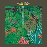 �A�C�����h�E���@�[�W��