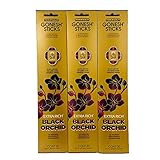 Gonesh ブラックオーキッド 合計240本