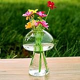 SHINA 1個 デスクトップ　 キノコ 型 ガラス 水栽培ポット 観葉植物 水耕栽培植物 ホームデコレーション