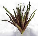 人工アロエベラ工場 Artificial Aloe Vera Plant Red 7"