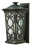 Hinkley 2275AM Outdoor Enzo Light by Hinkley