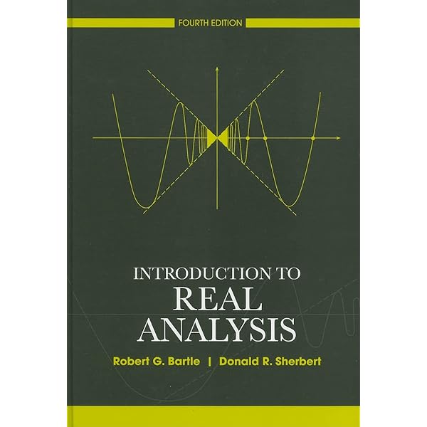 Amazon | Understanding Analysis (Undergraduate Texts in