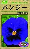カネコ種苗 草花タネ125 パンジー 大輪咲き 紫花 10袋セット
