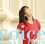 voice