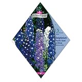 [花タネ][フランス花の種]デルフィニウム パシフィックジャイアント ミックス 1袋 ノーブランド品