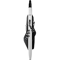 Amazon | ローランド Roland/AEROPHONE AE-20 エアロフォン 電子管楽器 Amazon | ローランド Roland/AEROPHONE AE-20 エアロフォン 電子管楽器
