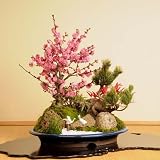 迎春：特大松竹梅*　鶴付き