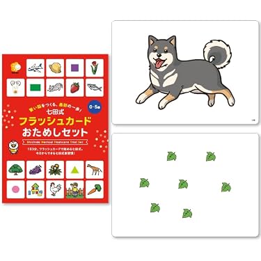 Amazon.co.jp 売れ筋ランキング: 教育用フラッシュカード の中で最も